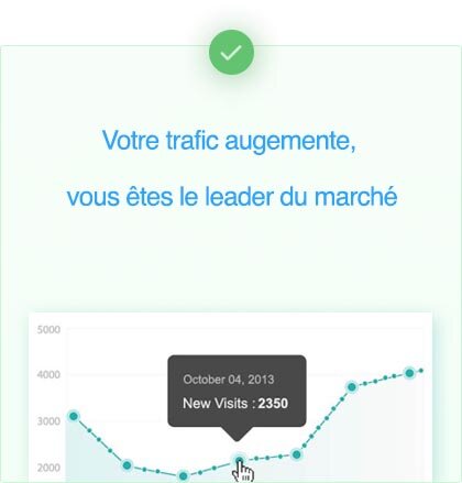 trafic page google